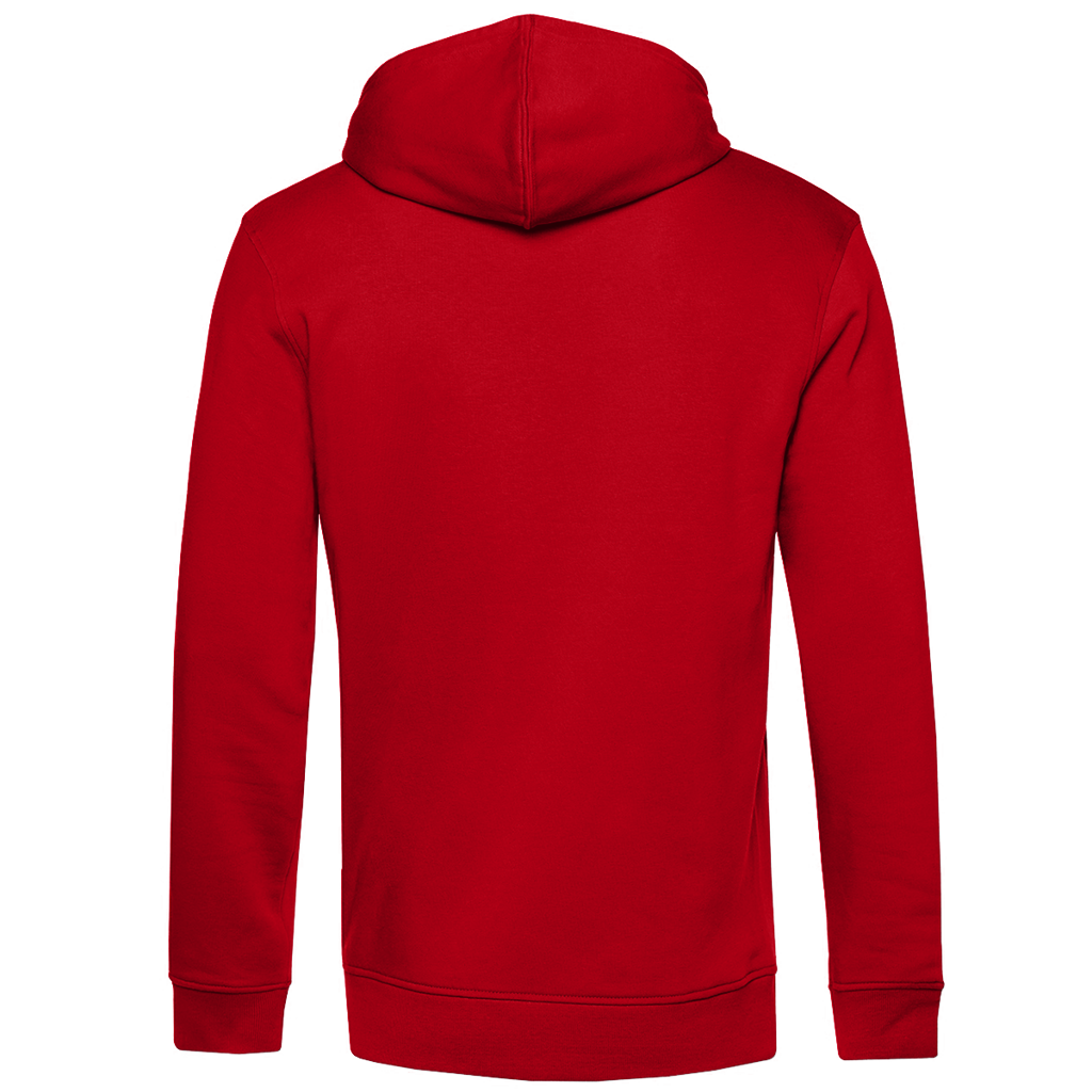 Herren Premium Bio Hoodie Techno